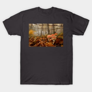 Toadstools in the Woods T-Shirt